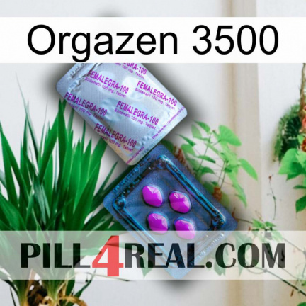 Orgazen 3500 37